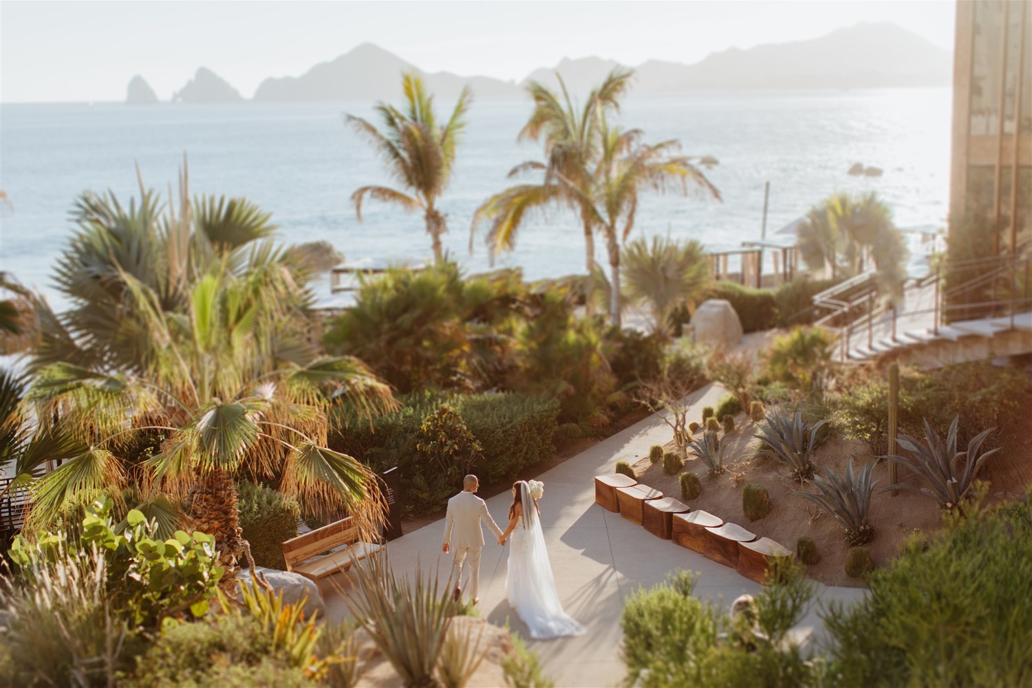 The Cape a Thompson Hotel, The Cape at Cabo, Cabo Resorts, Luxury Cabo Destination Wedding