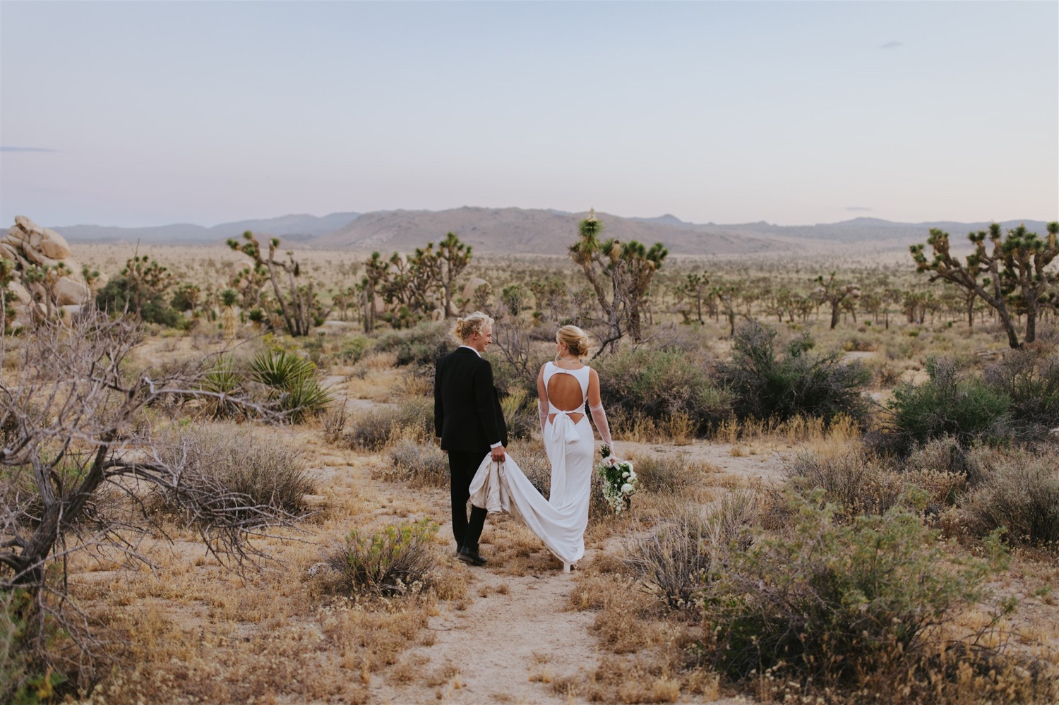 best places to take pictures at Joshua Tree National Park