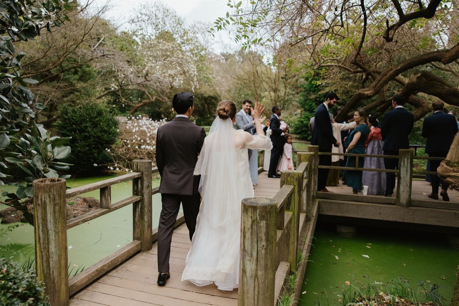 intimate weddings, micro weddings, and elopements at the San Francisco Botanical Garden in Golden Gate Park
