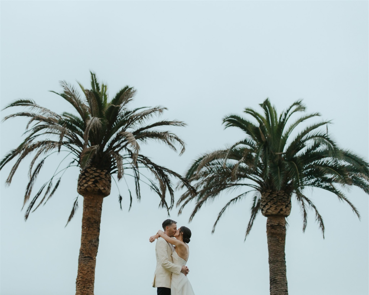 palm tree wedding portraits